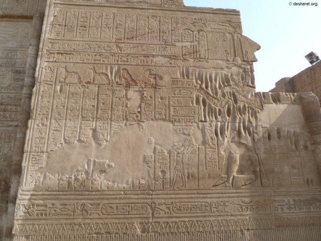 photo106.jpg