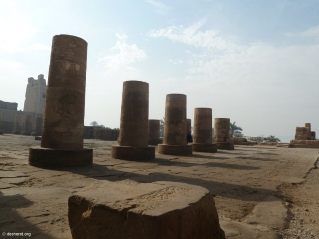 photo59.jpg