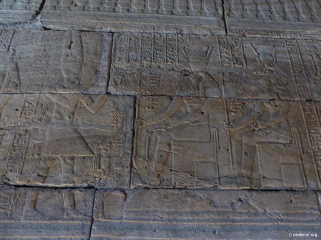 photo56.jpg