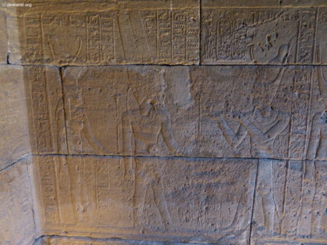 photo81.jpg