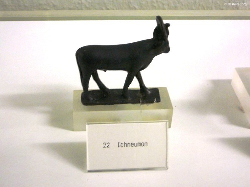diakonie16.jpg