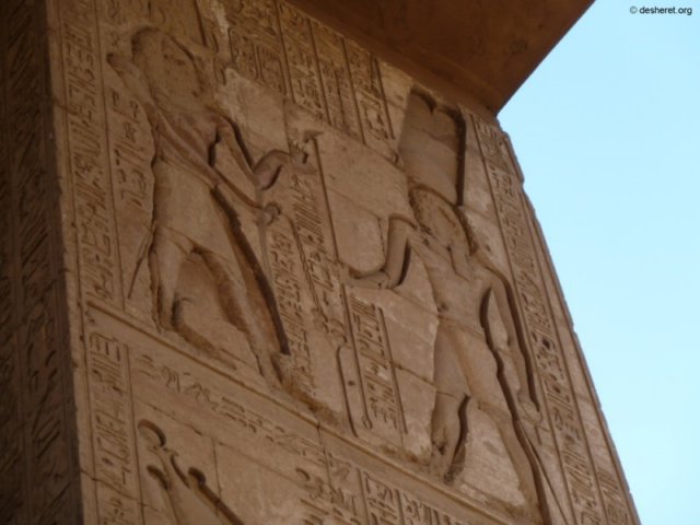 photo60.jpg