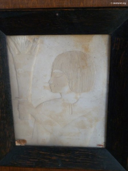 photo9.jpg