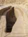 giza041_small.jpg