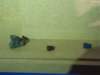 photo153_small.jpg