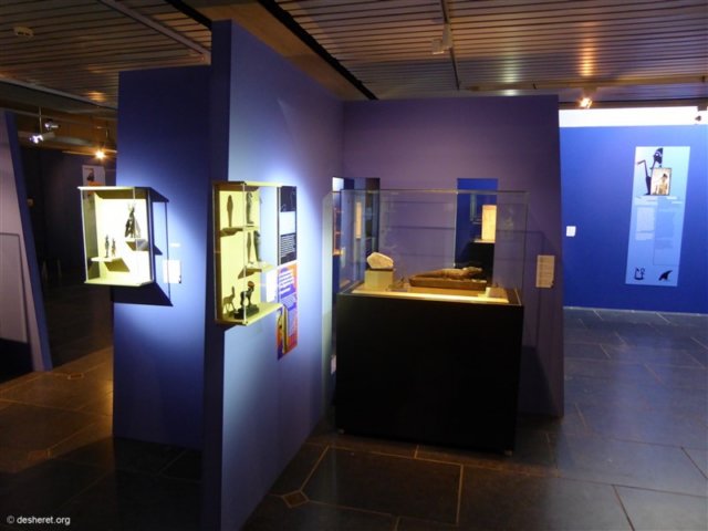 photo62.jpg