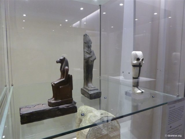 photo49.jpg