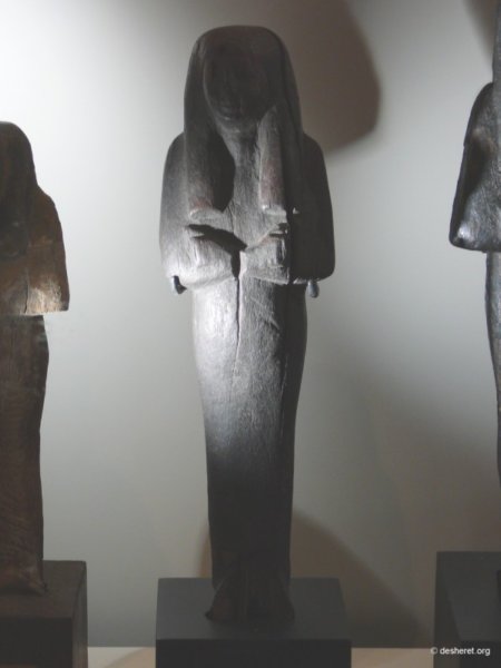 curtius030.jpg