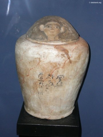 photo47.jpg