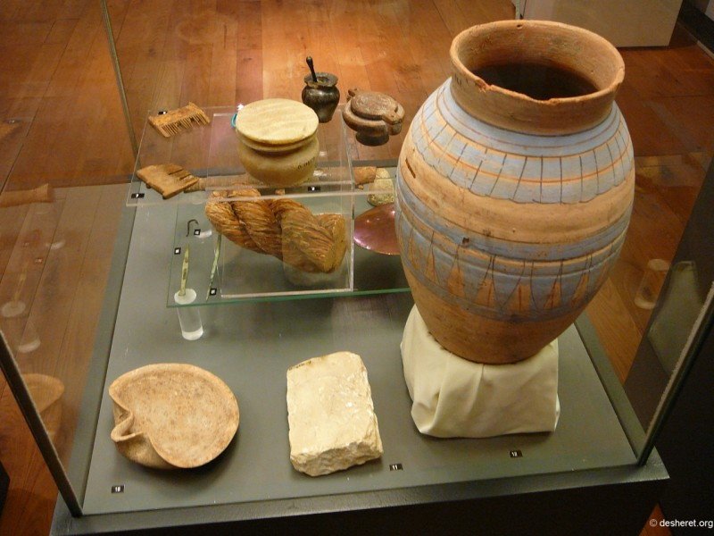hunterian05.jpg