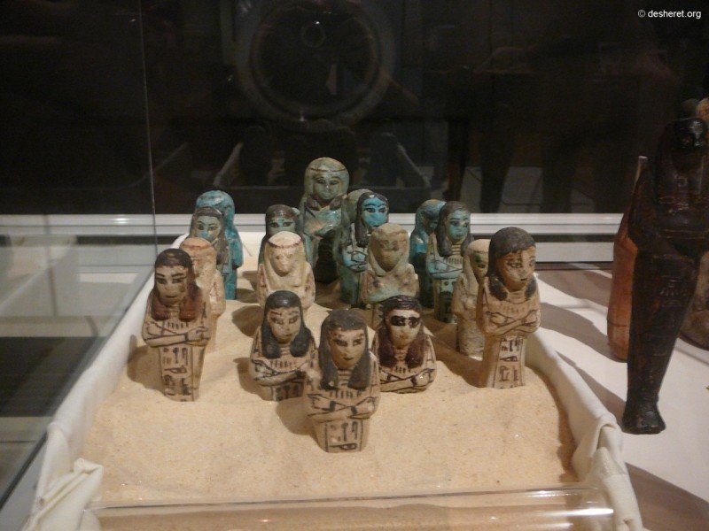 hunterian10.jpg