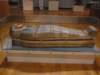hunterian19_small.jpg