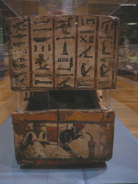 hunterian25.jpg