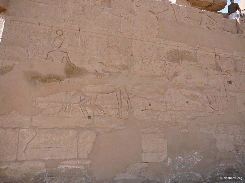 hypostyleoutn01.jpg