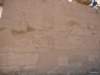 hypostyleoutn01_small.jpg