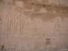 hypostyleoutn06_small.jpg