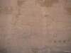 hypostyleoutn07_small.jpg