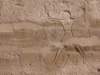 hypostyleouts08_small.jpg