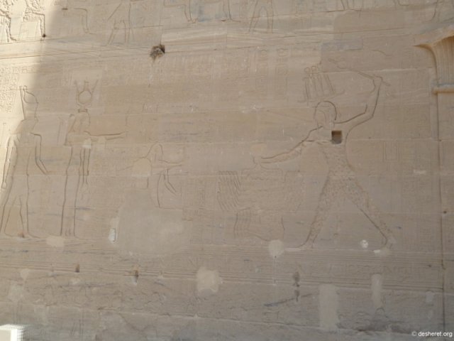 photo169.jpg