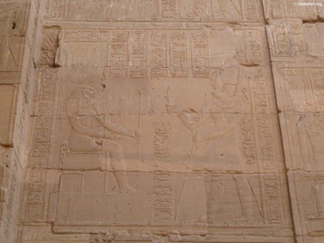 photo36.jpg