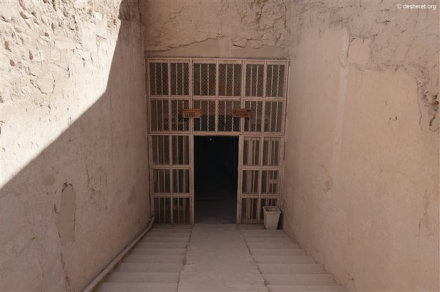 photo3.jpg