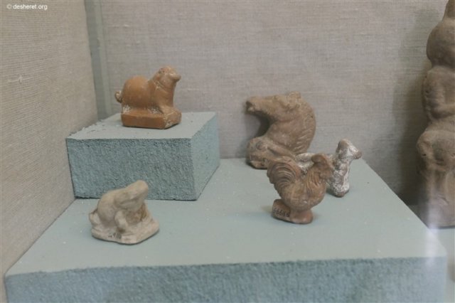 photo44.jpg