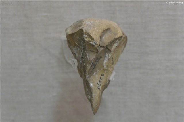 photo6.jpg
