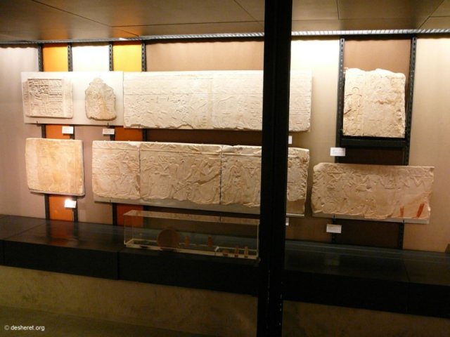 photo41.jpg