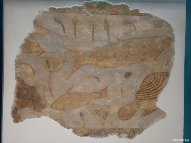 photo57.jpg