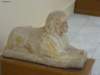 photo142_small.jpg