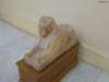photo144_small.jpg