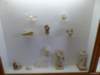 photo196_small.jpg