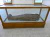 photo316_small.jpg