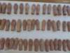 photo325_small.jpg