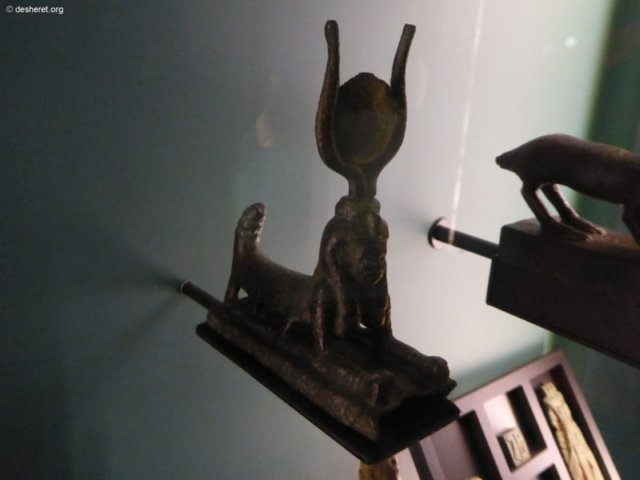 photo65.jpg