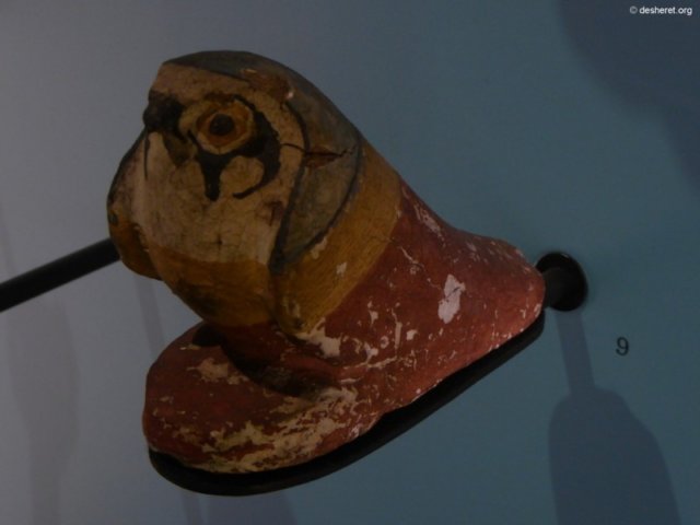 photo95.jpg