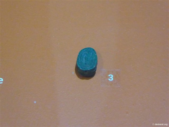 photo71.jpg