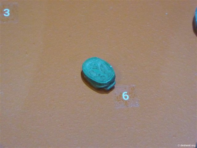photo72.jpg