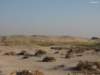 malqatta09_small.jpg