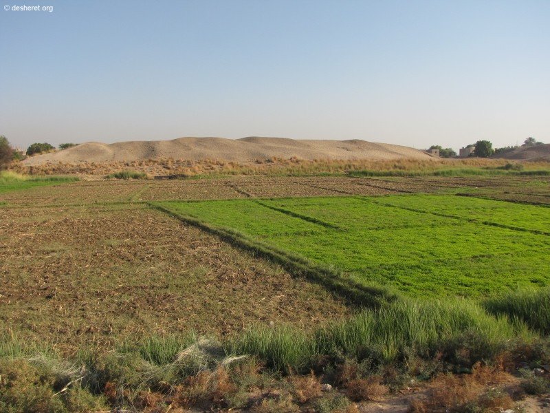 malqatta19.jpg