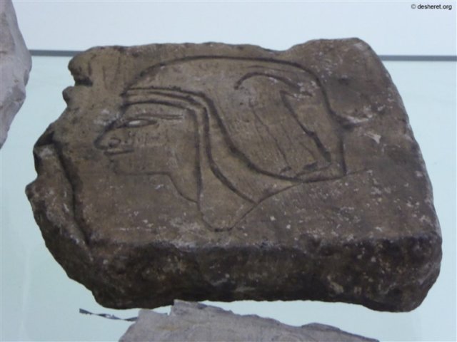 photo78.jpg