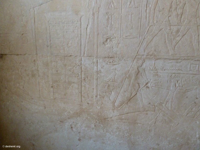photo11.jpg