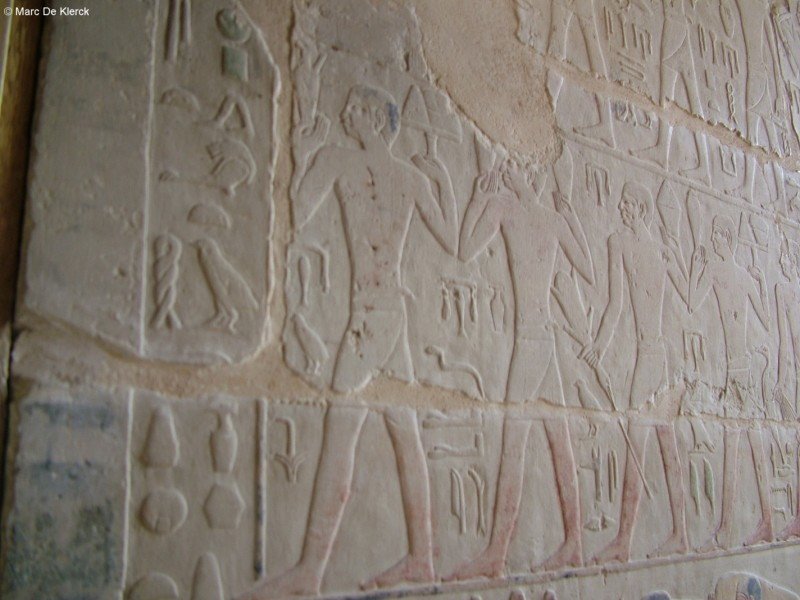 photo66.jpg