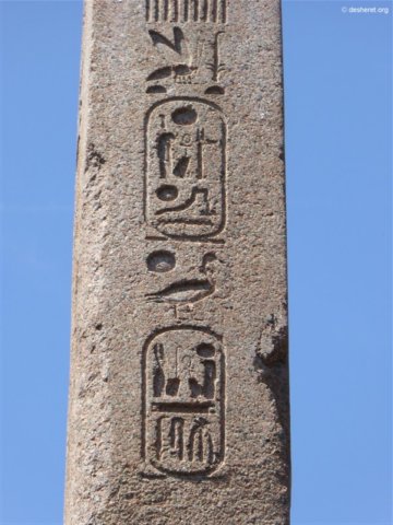 photo8.jpg