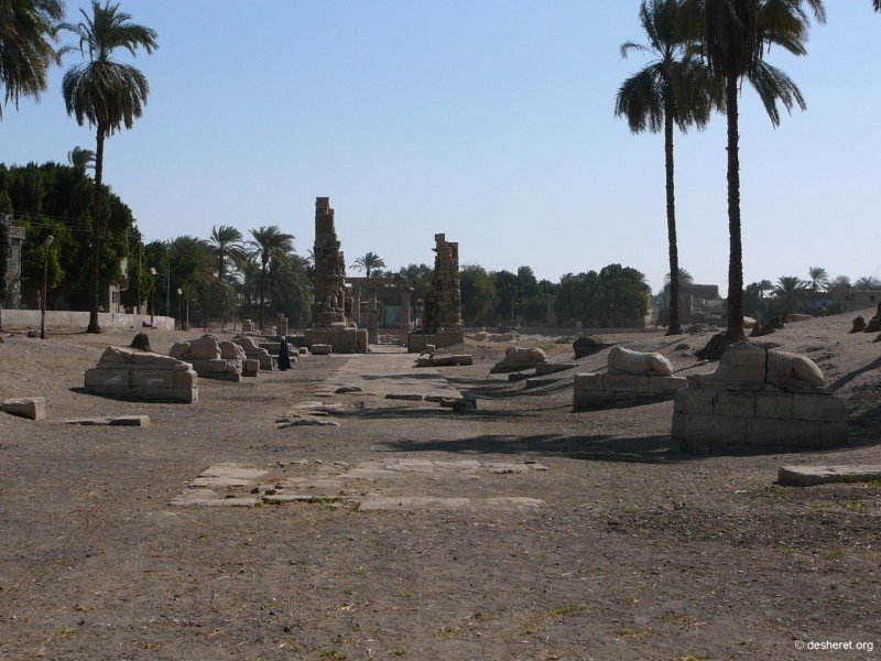 medamud03.jpg