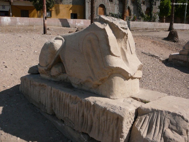 medamud05.jpg