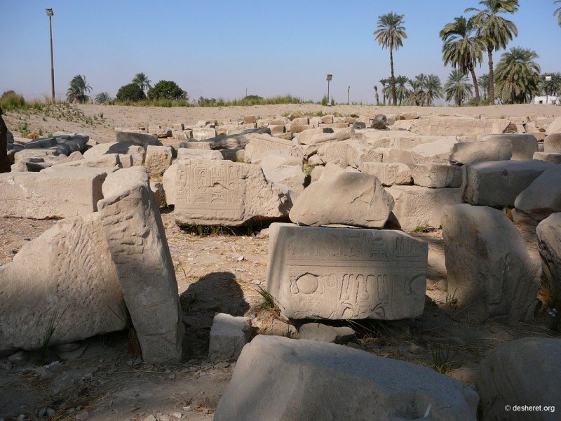 medamud24.jpg
