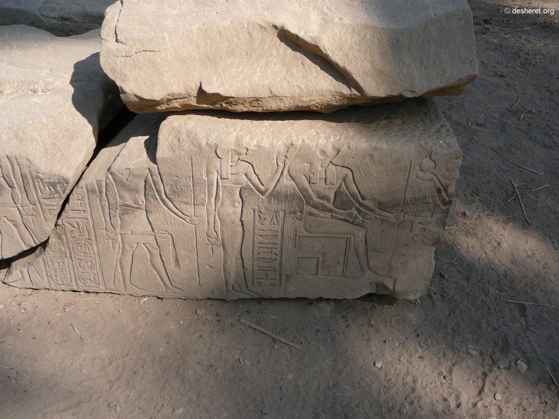 medamud68.jpg
