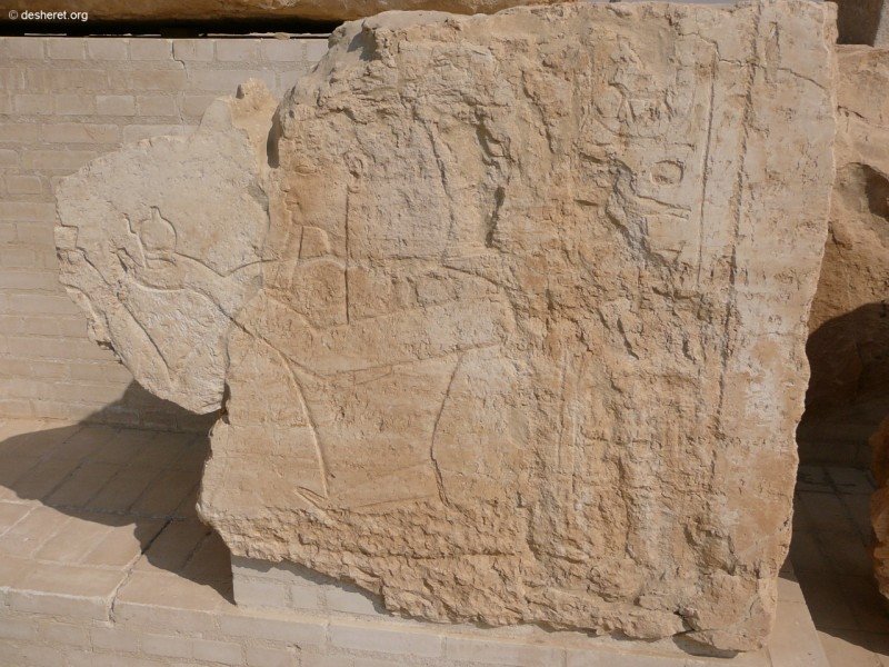 merenptah40.jpg