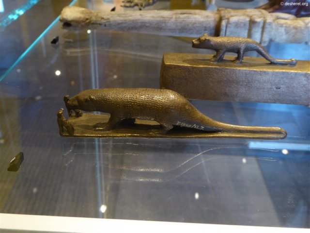photo15.jpg